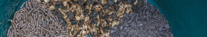 NABE Web Fuetterungsberatung Banner 1920x350px